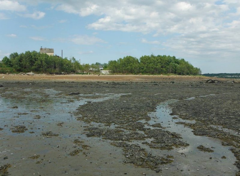 gacshore_072113_01b_sandbar_2.jpg