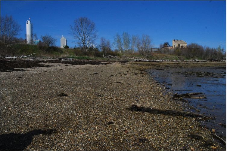 gacshore_050612_c1_hardsandbeach_abovemudflat.jpg