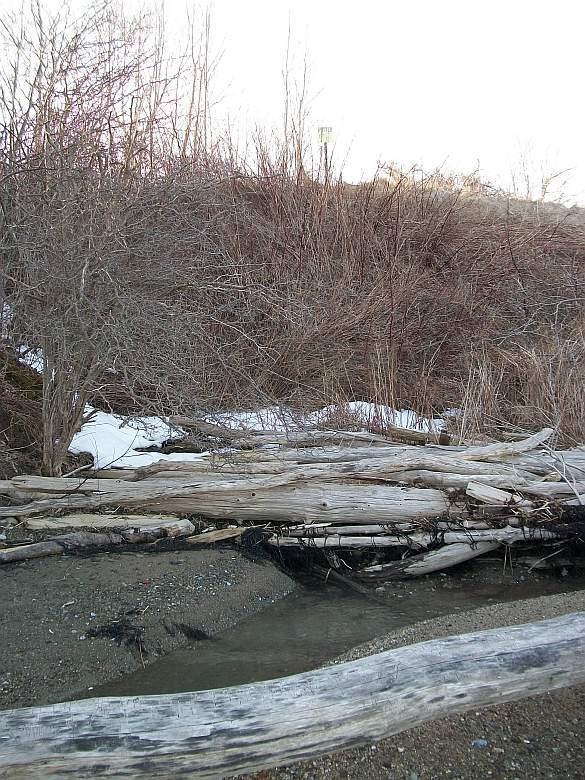 gacshore_031013_a039_railroad_runoff_stream.jpg