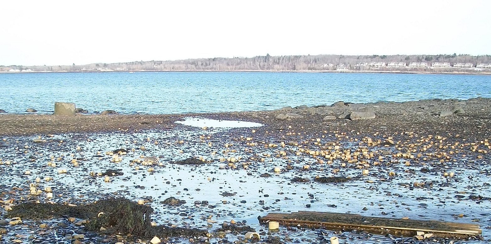 gacshore_031013_a047_cove3_postpumphouse.jpg