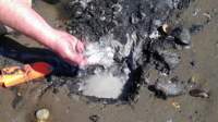 gac_intertidal_mud_2013_small.jpg