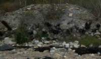 gacshore_050612_eroding_waste_bluff2_small.jpg